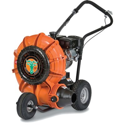 Lehepuhur Billy Goat F 1302 H