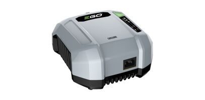 EGO Profiseeria kiirlaadija 550W